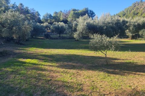 Landejendom i Asco, Tarragona, Asco - € 29.000 | Ref: 1003 Pasco - foto 17